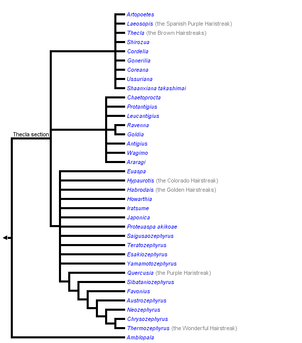 taxon links