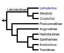 taxon links