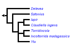 taxon links