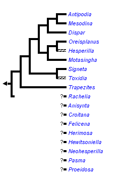 taxon links