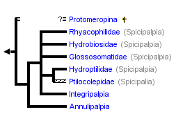 taxon links