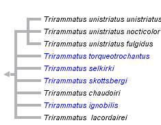 taxon links