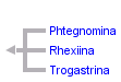 taxon links