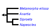 taxon links