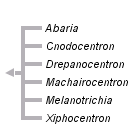 taxon links