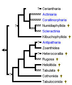 taxon links