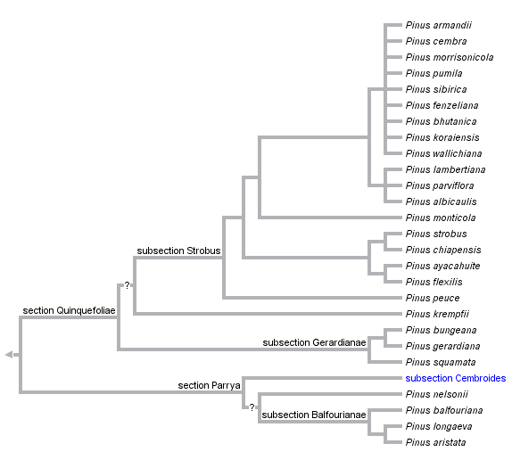 taxon links