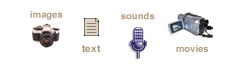 document your work with images, sounds, text and movies