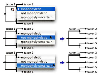 setting phylesis options